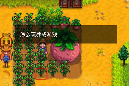怎么玩养成游戏